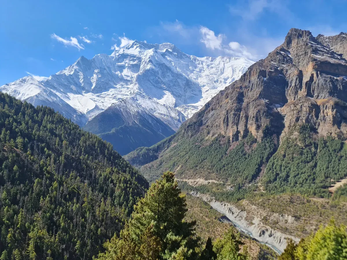Annapurna Area